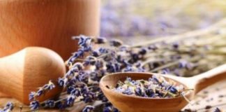 Prirodni ljekovi za migrenu levan