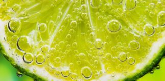 Što zapravo gutamo limunc