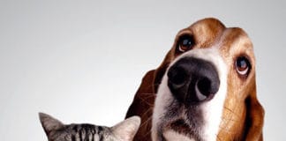 Prosvjed za provedbu Zakona lunja