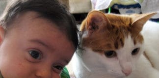 Mačke nas kontroliraju maca