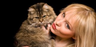 9 intrigantnih stvari macap