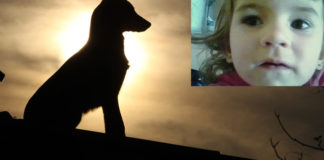 Potresna priča malipa