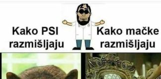 Kako razmišljaju mapi