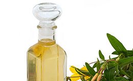 Ulje noćurka nocurak