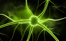 Parkinsova bolest parkins