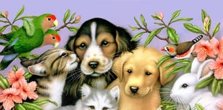 Zakon o zaštiti životinja pets