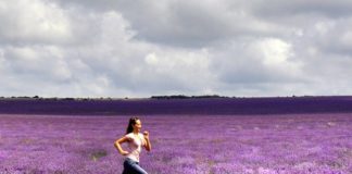 Još ima vremena polje_levande