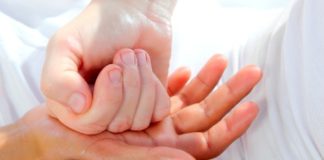 Štetočine ga ne vole ricinusovo