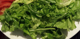 Nova studija salataz