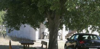 Smrtonosne ozljede siben