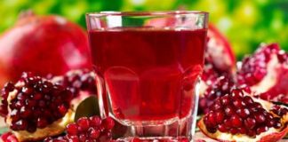 Hranom očuvati zdravlje….. sipakcrveni