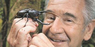 Korona nas je natjerala da se okrenemo prirodi