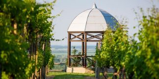 Putovanje postaje otkriće