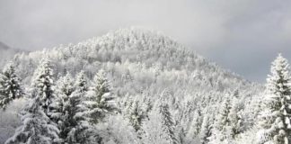 Nestao u ponedjeljak snjeg