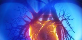 I ako jedete masno srcesip