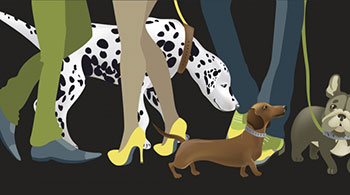 studije utjecaja ljubimaca