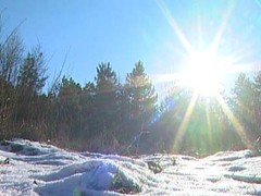 sunce_na_snijegu