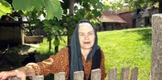 Grubišno polje tarabez