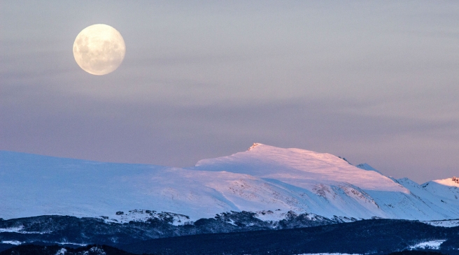 zatopljenje bakterije
