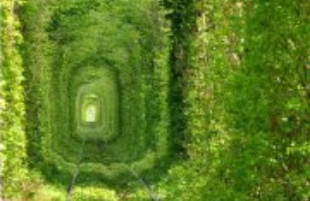 zeleni_tunel